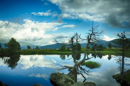 Լ͸¶ڿԱ˹F-16սѵڹҪ48ܡսʤ˹